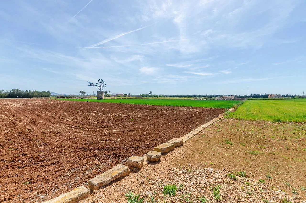 Villa Yourhouse Cas Padri Muro Spain